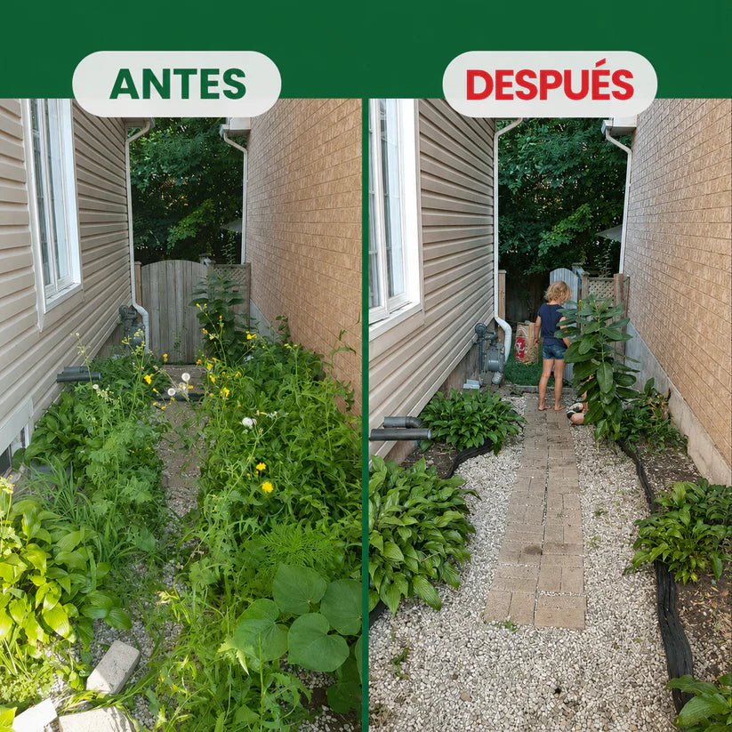 RaizOff Polvo Eliminador De Malezas y Raices Dificiles