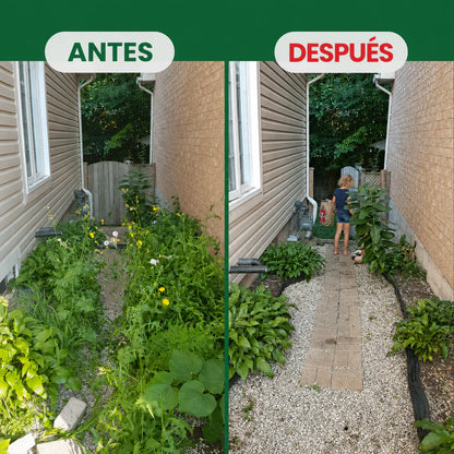 RaizOff Polvo Eliminador De Malezas y Raices Dificiles